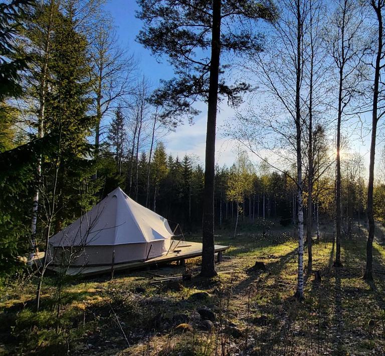Luxe tent met uitzicht op het bos en met Sauna en hottub - Ferienwohnung Hammarn