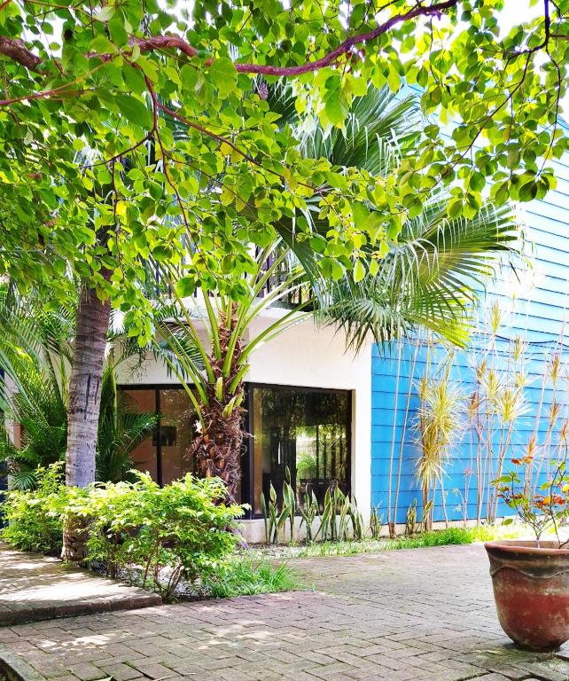 Casa Milo - Bed and Breakfast Managua