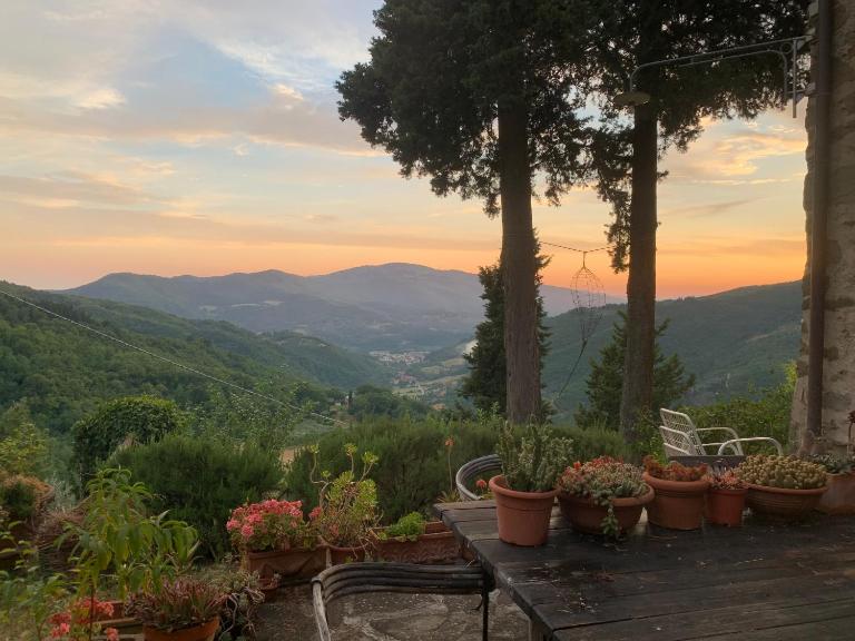 La Felce e il Mirtillo - B&B Il Palazzo