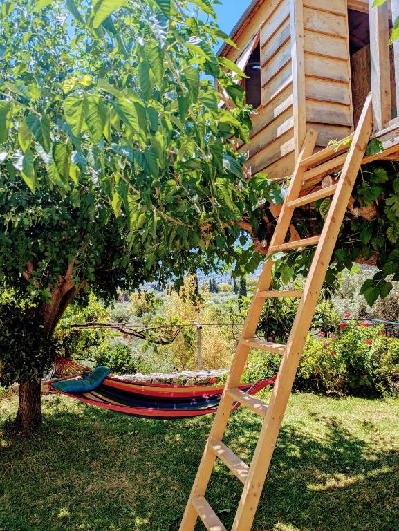 Studio with cute garden space - B&B Nydri