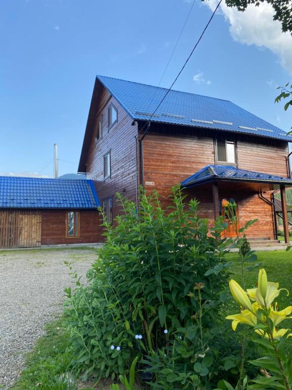 Під Явором - B&B Vorokhta