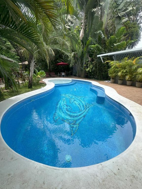 Studio Apartment 2 & AC-2 Pools-Jungle-Beach-WiFi-TV - Ferienwohnung Cocles