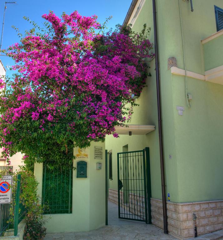 La Casa Del Nonno - Bed and Breakfast Campomarino