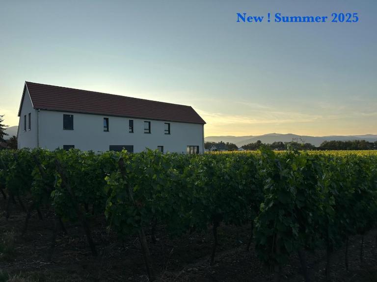 COLMARandCo au coeur des vignes - Chambres d'hôtes Ingersheim
