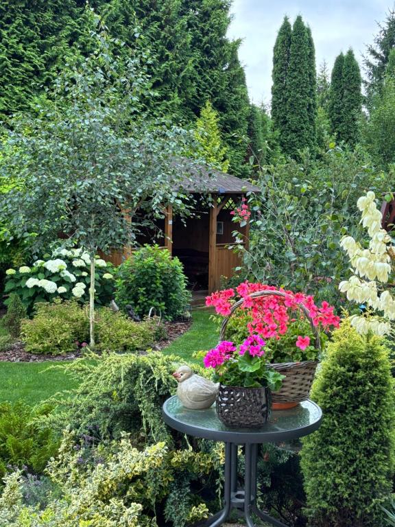 U Iwony - B&B Sztutowo