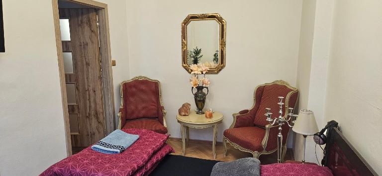 Apartmán U Bláhovky - B&B Brno