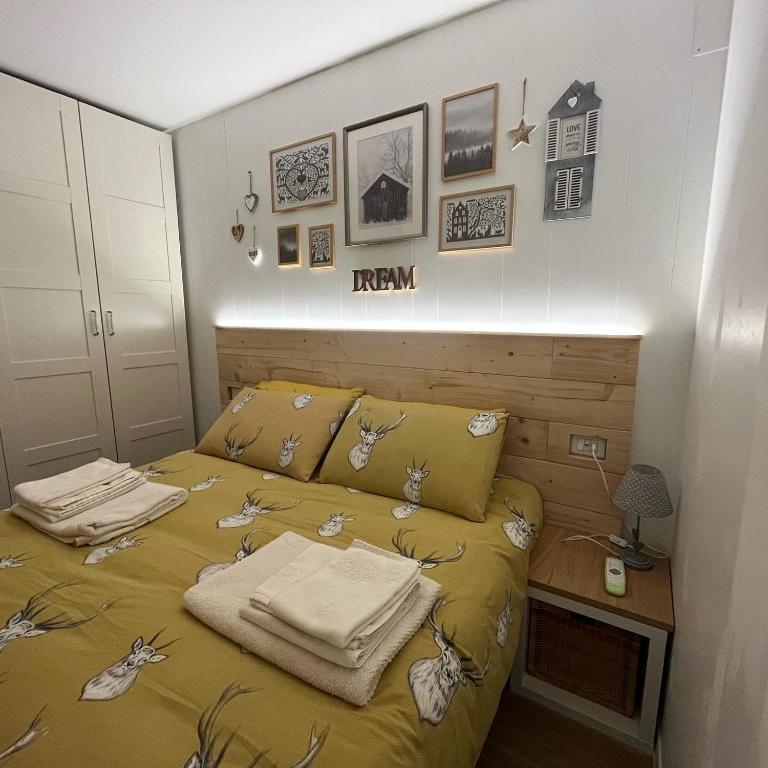 Cervo Bianco - delizioso monolocale a Marilleva 1400 - B&B Mezzana