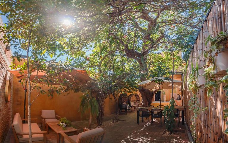Casa Mango - Chambres d'hôtes Oaxaca