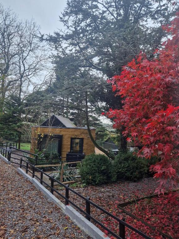 Ty Branwen- Luxury Woodland Lodge with Stunning Views - B&B Cowbridge