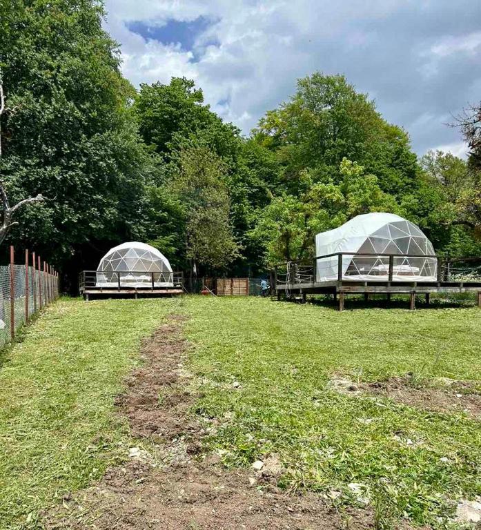 Nikorstminda glamping - Batoni's forest - Bed and Breakfast Ambrolaoeri