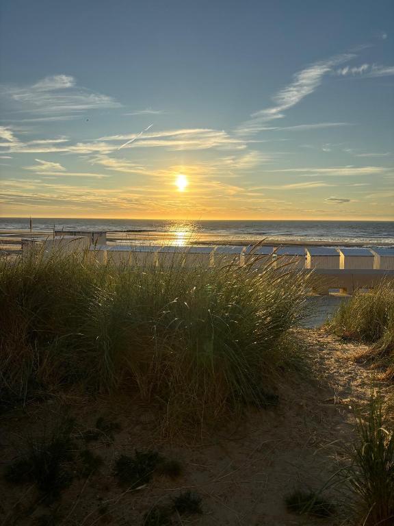 Studio Casino Middelkerke - Bed and Breakfast Middelkerke