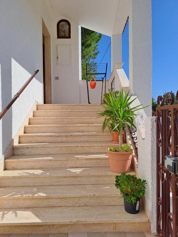 San Michele Apartment - Ferienwohnung Bari