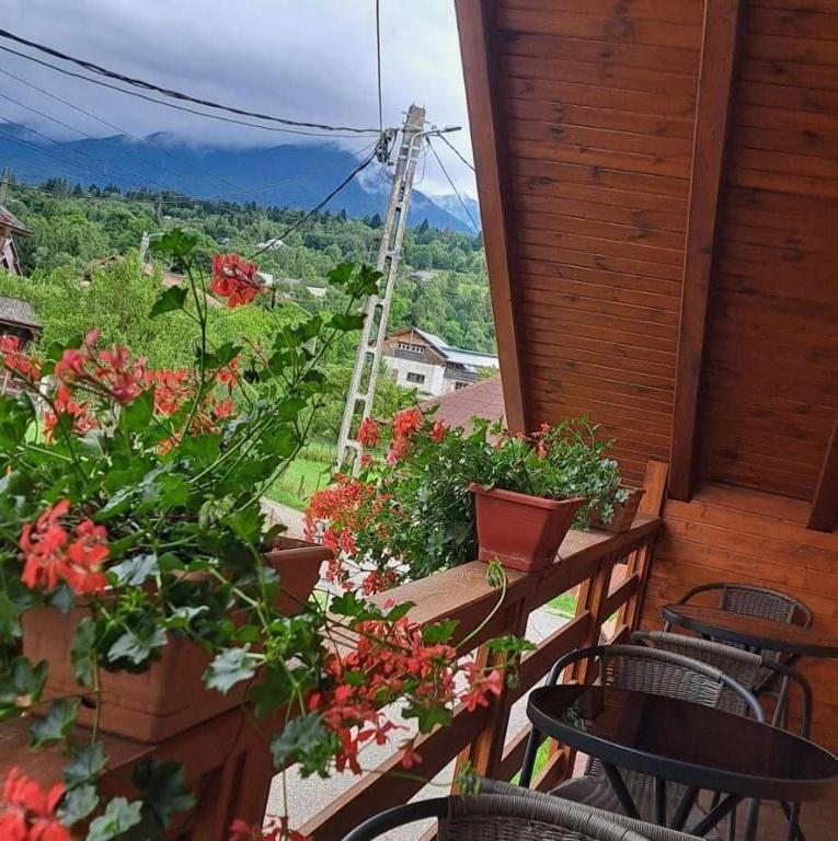 Casa Cristiana Moisei - B&B Moisei