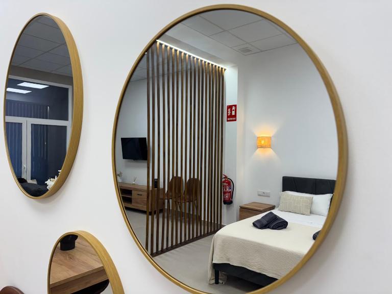 Basset 3 - B&B Valencia