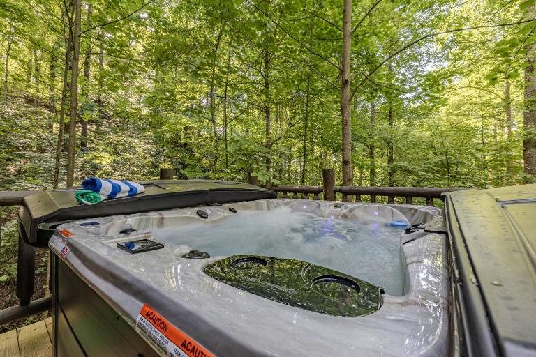 Cedar Hollow- Romantic Escape for 2, Views, Hot Tub, Sauna & Dogs - B&B Sevierville