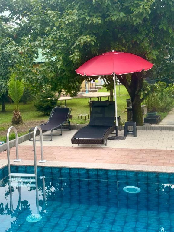Senima's paradise - Pool & Cottages - B&B Batum