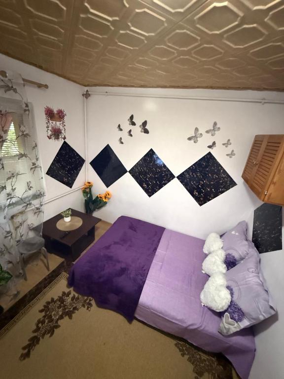 Dorina gazdă - B&B Lugoj