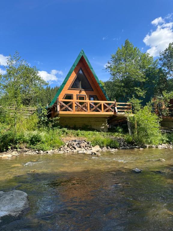 Орхідея LUXE 3 - B&B Synevyrska Poliana
