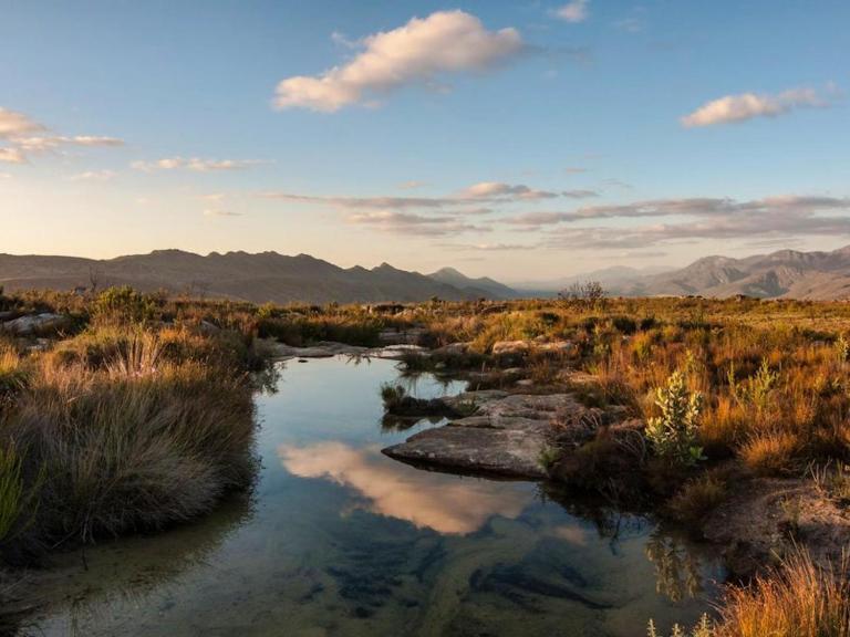 Cedarpeak Mountain cottages - B&B Piketberg