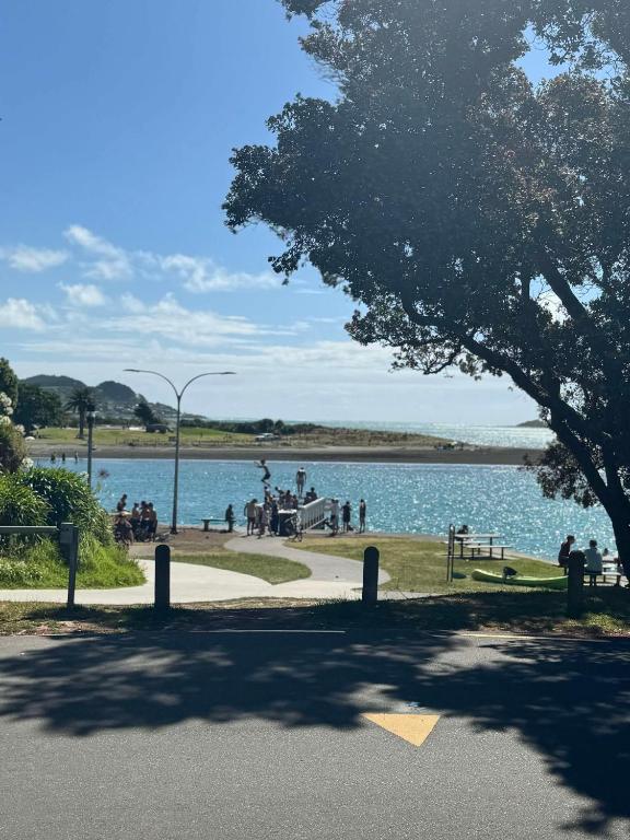 Warm sunny holiday home right in town - B&B Raglan