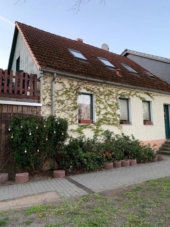 Finca Sommerfeld 2-Zimmerhaus mit Terrasse und Garten - B&B Kremmen