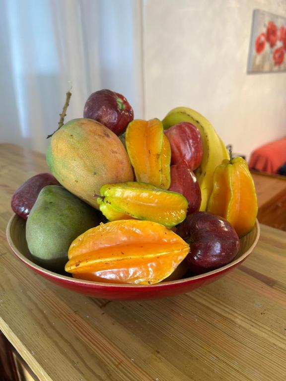 Maison Petit Paradis - B&B Basse-Terre