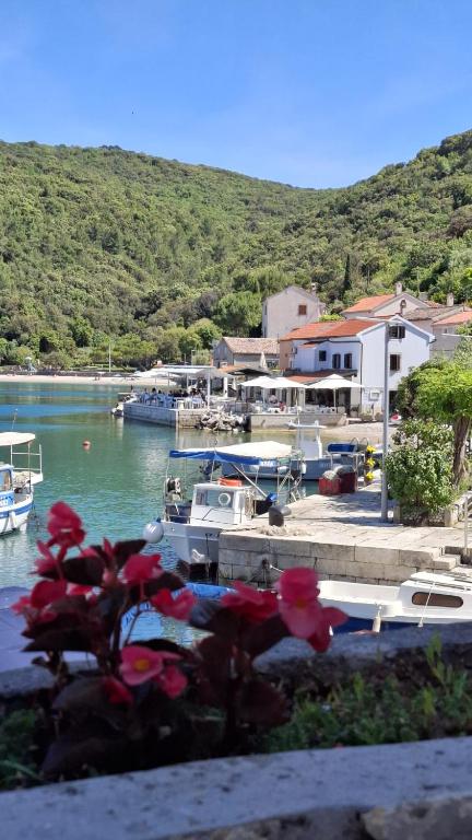 Guesthouse Pijerino - B&B Valun