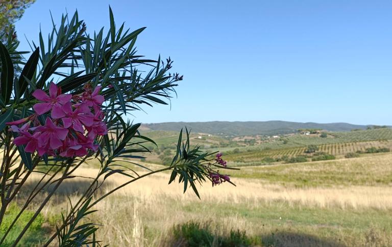 Agriturismo Fosso Torto - B&B Rispescia