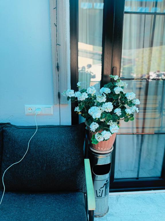 happy home - B&B Borjomi