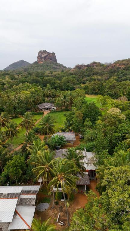 Sigiri Fortress View lodge - Bed and Breakfast Sigiriya