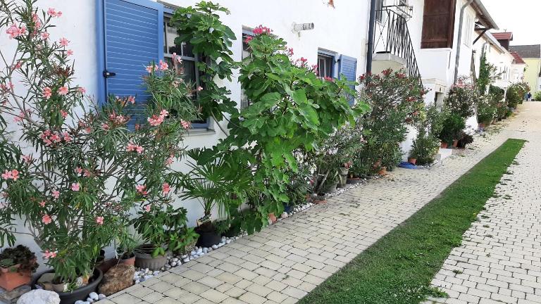 Ferienwohnung Casa Maya - B&B Mörbisch am See