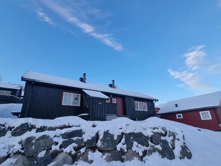 Koselig hytte sentralt på Norefjell, ski in & out - Ferienwohnung Surteberg