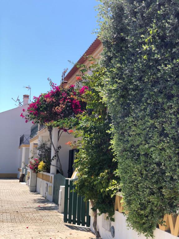 Casa da Oliveira - B&B Vila Nova de Milfontes