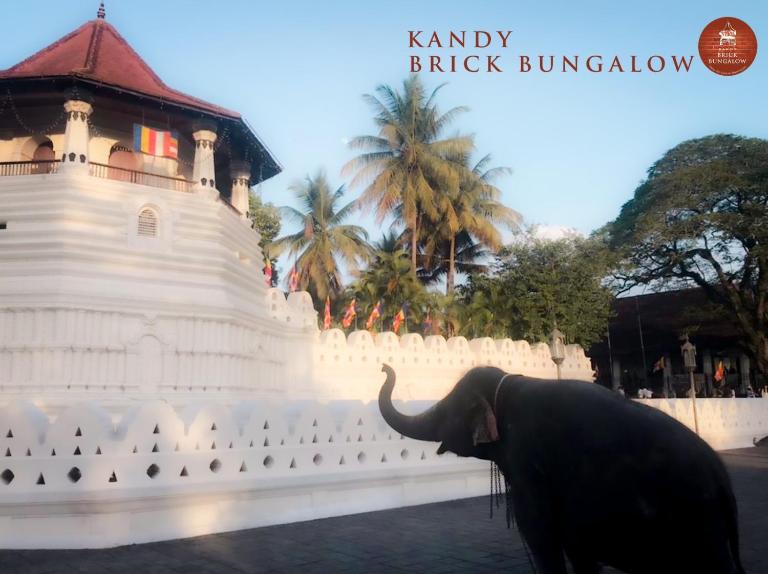 Kandy Brick Bungalow - B&B Ampitiya