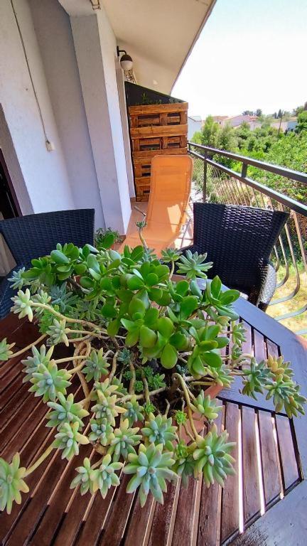 Apartmani Bonaca - B&B Pakoštane