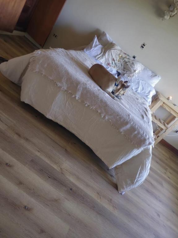 Casa de Campo - Haras - B&B Alastuey