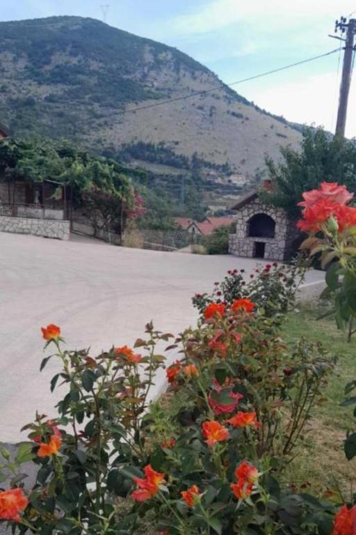 Apartman Vlačić - Ferienwohnung Trebinje
