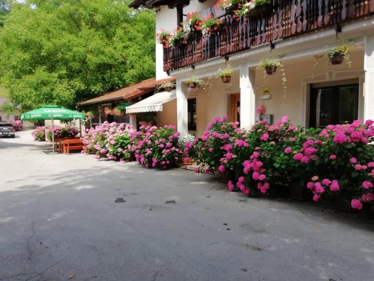 Domačija Bubec - B&B Villa del Nevoso