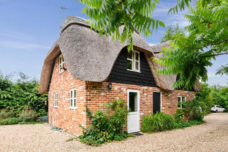 Charming thatched cottage near New Forest - B&B Breamore