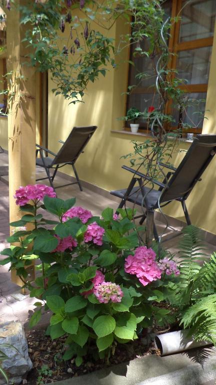 Oázis Apartman - B&B Eger