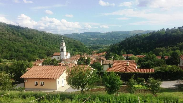 First Vrtovin Apartment - B&B Črniče