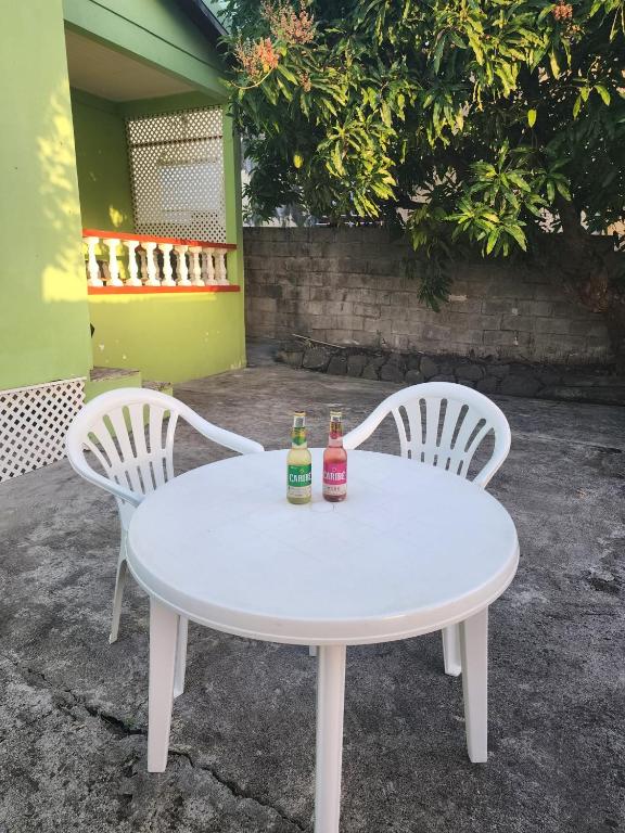 Hidden Bungalow - B&B Roseau