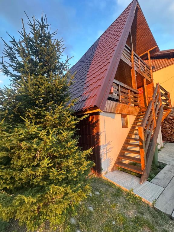 Pensiunea Carmen - Ferienwohnung Rânca