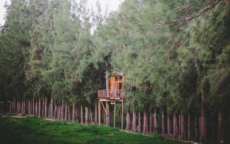 Vindoux Tree House Guest Farm & Spa - B&B Tulbagh