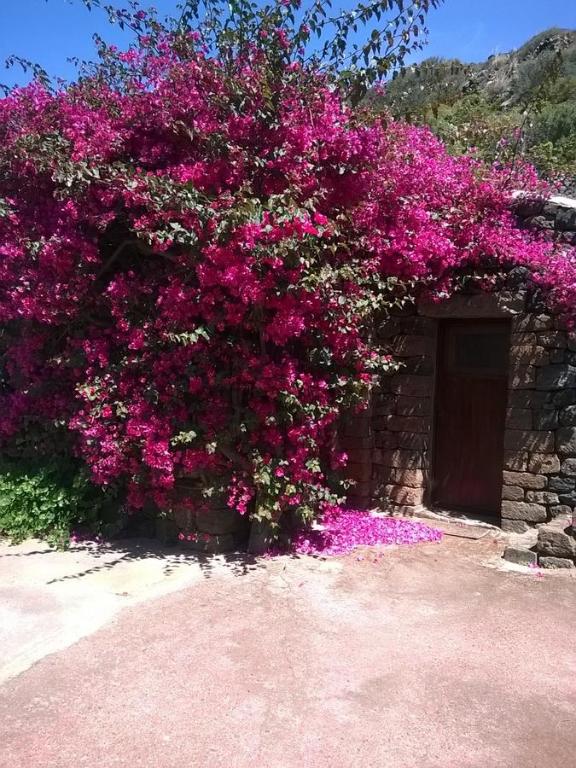Dammuso Magia con Piscina - Ferienwohnung Pantelleria