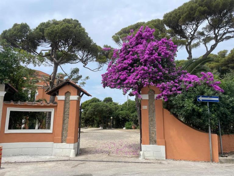 Casa Del Borgo - Midi - Primo Piano - B&B Civitavecchia