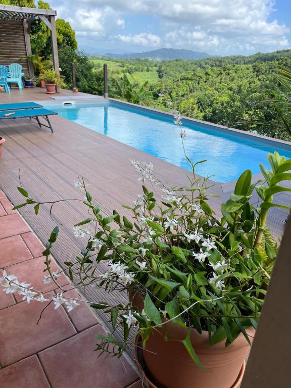Tiny house campagne proche plages - B&B Chambord