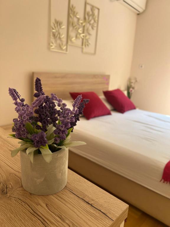 Orchid House - B&B Belgrado