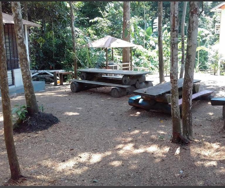 Casatemporada Piquiá - B&B Novo Airão