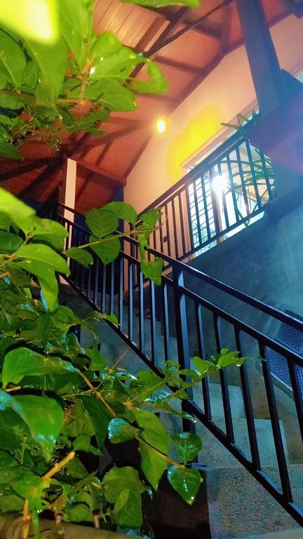 Mandara Holiday Home - B&B Anuradhapura